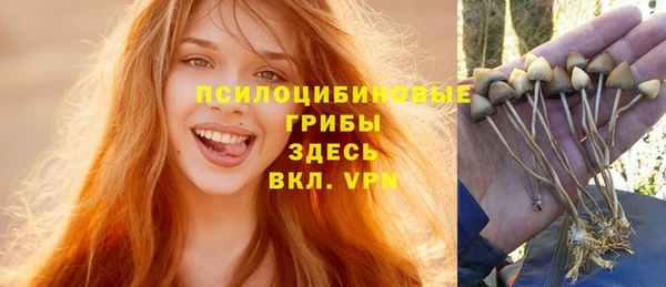 apvp Алексеевка